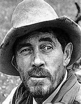 festus.jpg festus.jpg